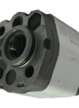 淮安长江齿轮泵RGP-F106/F111/F113/F116/F201/F202/F203精装油泵