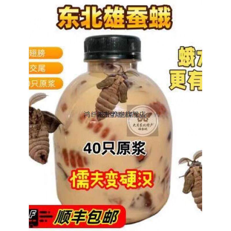 东北雄蚕蛾养生滋补未交尾鲜活辽宁岫岩蚕蛹泡酒 10只原浆100g