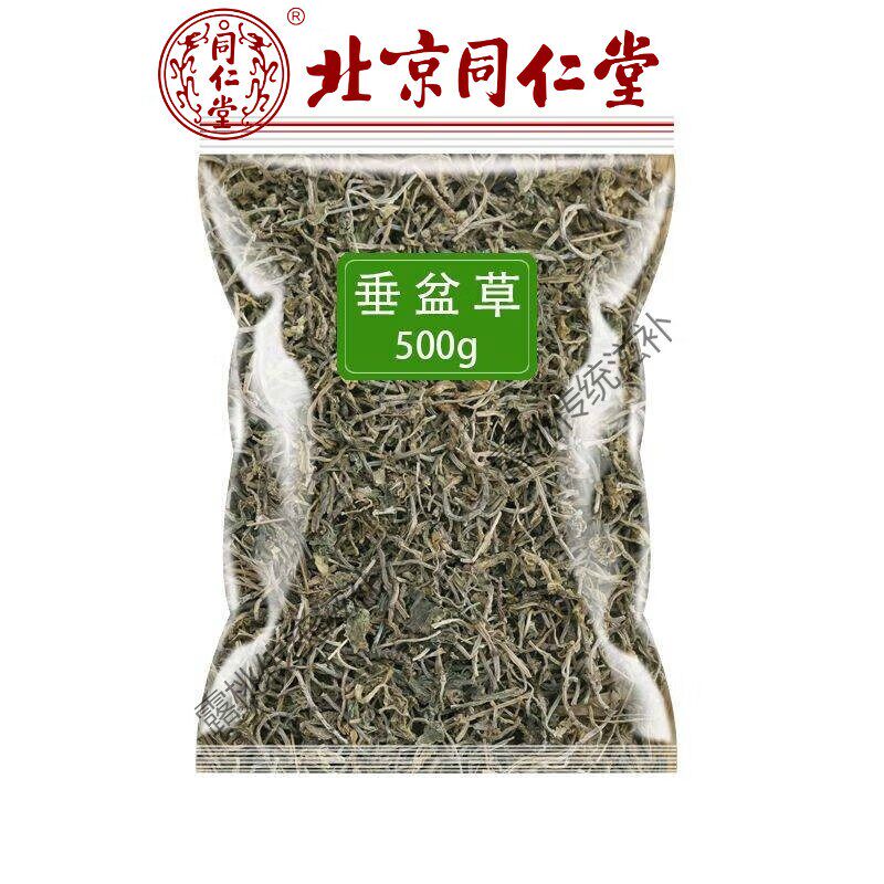 原料新鲜垂盆草中药材正宗垂盆草药用食用无硫熏干货无