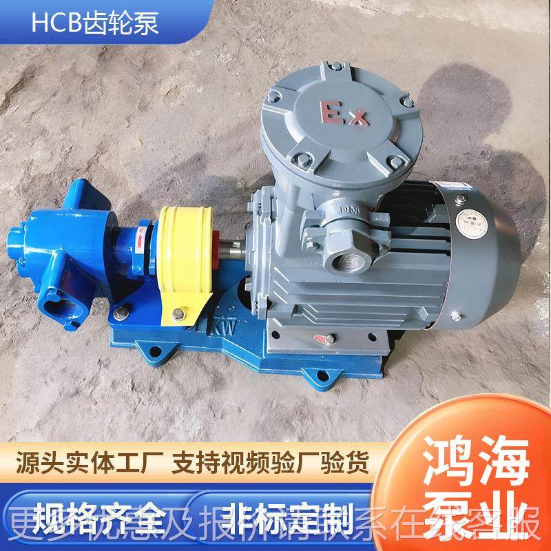 齿轮泵 高温油 自输送重油柴油泵 润滑动油不锈930钢泵电泵吸油泵,五金/工具,其它泵类型,淘宝优惠券,粉丝福利购,淘宝优惠卷