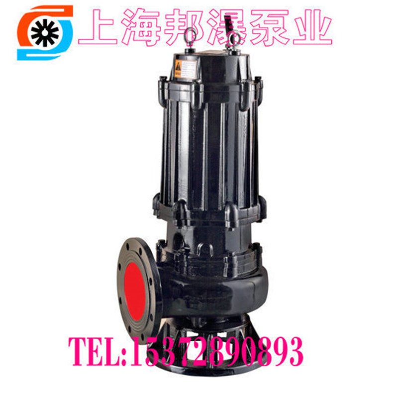 AS10-2W/CB 排污泵 撕列型污水泵 QW无堵塞污水泵 AS刀片污水泵