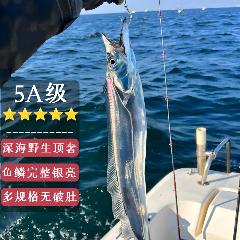 带鱼新鲜特级大带鱼整条海钓宽带鱼段整箱海鲜水产生鲜顺丰包邮