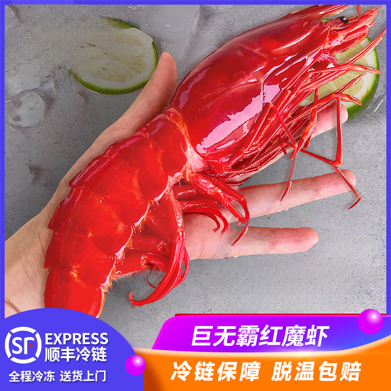 红魔虾刺身特大鲜活速冻
