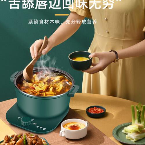 嘉中宝小型电煮锅学生宿舍小锅多功能小电锅蒸炒煮小型电油炸锅