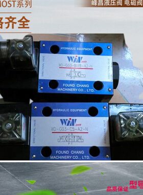 峰昌单向阀 WINMOST电磁阀WD-G02-B2-A2-N D2 WD-G03 B3 B8 B2B