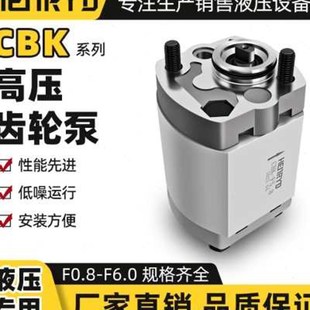 4.2 1.3 2.5 3.2 2.1 1.0 1.6 5.8 CBK微型齿轮泵CBK 3.7 F0.8