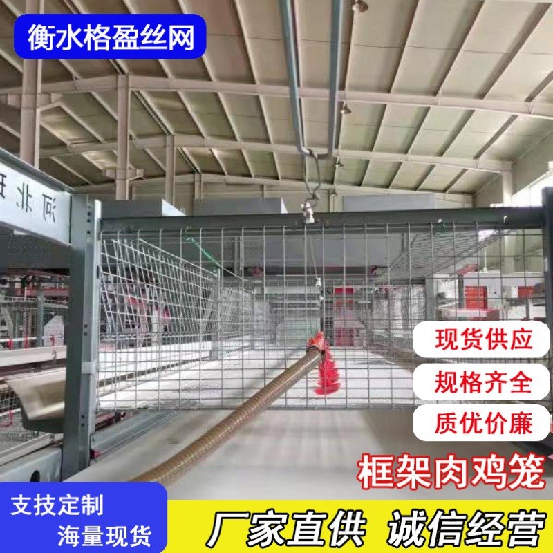 H型框架式自动化蛋鸡养殖笼肉鸡框架笼全套鸡笼设备