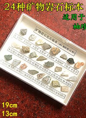 24种矿物岩石标本 昆虫矿物提炼土壤节肢动物蜜蜂生活史 科学教具