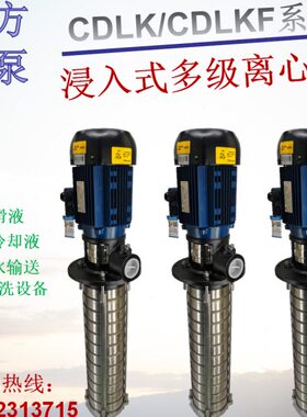 杭州南方水泵CDLK/CDLKF1/2/3/4/8/16/20/32/42浸入式多级离心泵