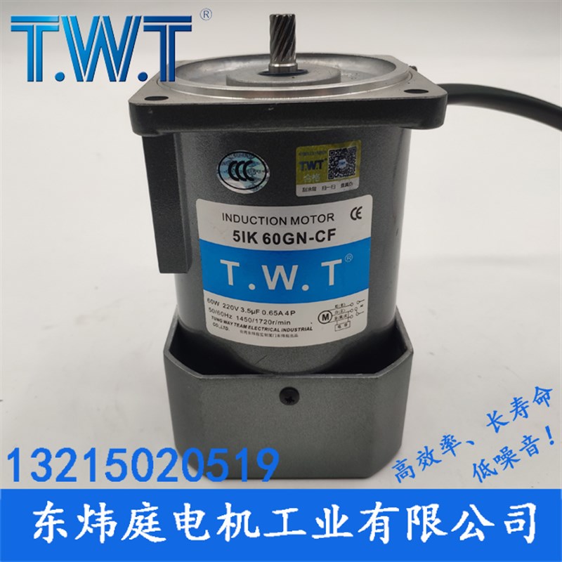 TWT电机 60W齿轮减速电机5IK60GN-CF 5RK60GN-UCF台湾东炜庭电机
