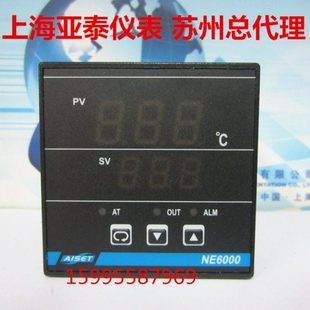6401V 上海亚泰温控仪表 NE6000温控仪表 300 AISET