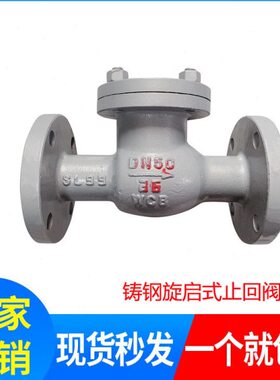 H44H-16C/25C铸钢旋启式法兰止回阀逆止阀DN15 20 25 32 40 50 65