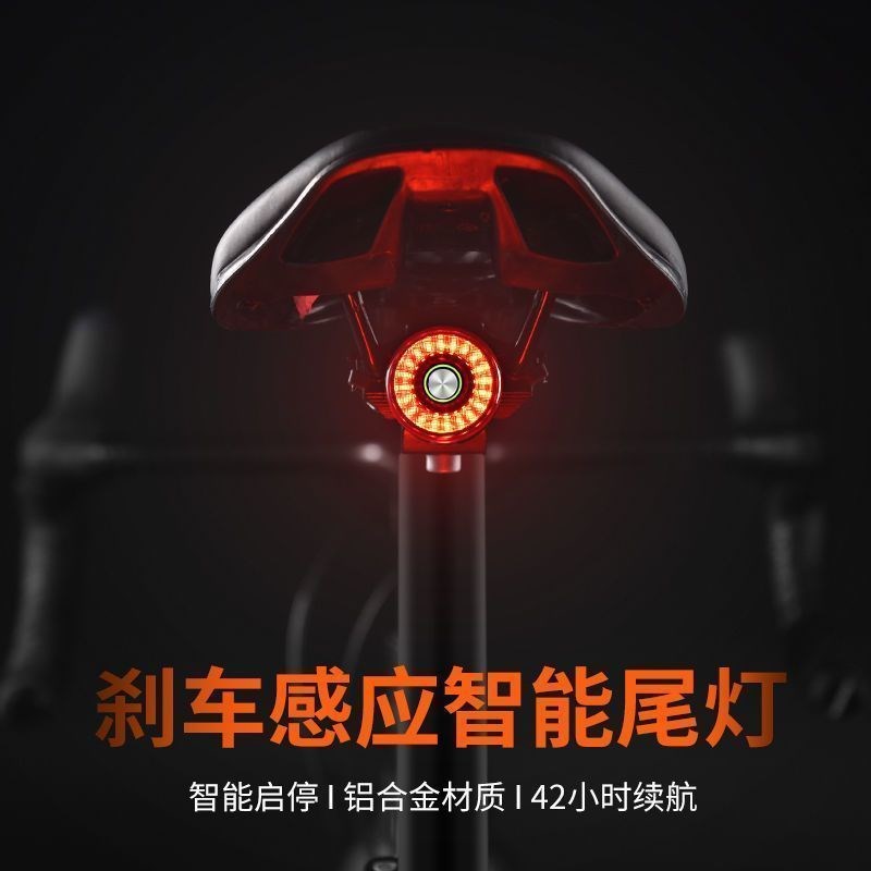 路迈威SR1自i行车尾灯智能感应刹车警示灯山地车公路车夜骑行装备