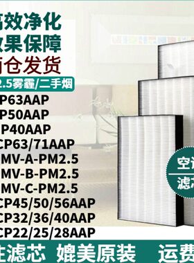 适配大金中央空调过滤网CN-EMV-A/B/C-PM2.5滤芯空调进出风口除尘