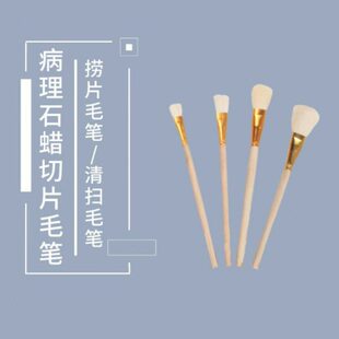 病理石蜡切片捞片毛笔切片用捞片毛笔冷冻切片用毛笔切片清扫毛笔