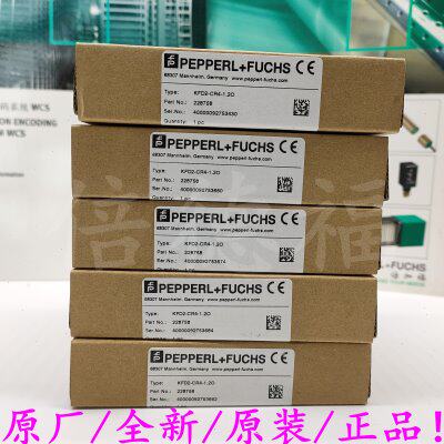 原装德国传感器 RL28-8-H-1500-LAS/105/110