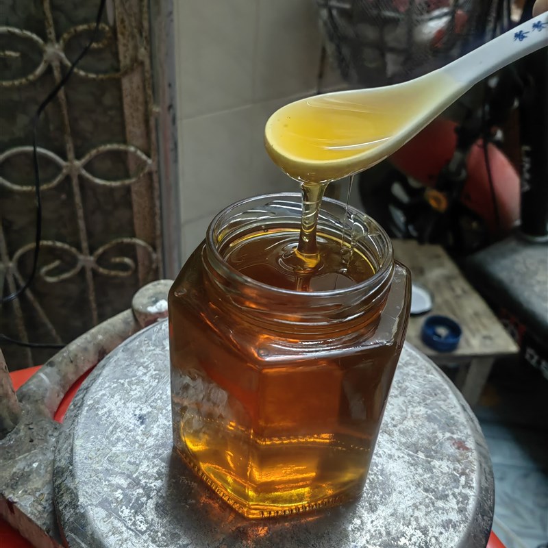 中蜂蜂王蜂群蜜蜂活群带王子脾双色红环产卵强带箱笼蜂包活授粉蜂