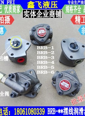 BRB-3油泵WBRB 4 6 2.5调压泵BAB-3摆线泵组1 5 BRB-2润滑泵TT 6R