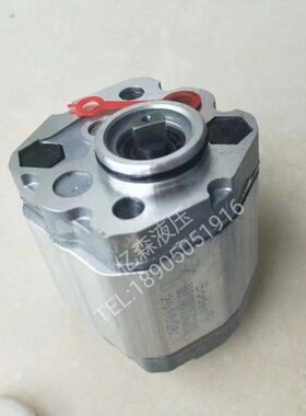 Boden博顿齿轮泵BKP1Q0D1.6/D2.1/D2.7/D3.2D5.8/D7.0/G0L1B油泵