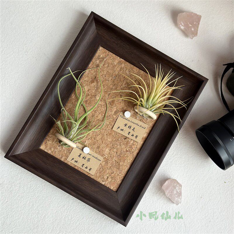 ins空气凤梨套餐磁吸装饰画框复古桌面室内墙上深棕色相框8寸送礼