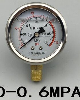 抗震 油压表 耐震压力表 YN-60 0.6MPA 80PSi YTN60
