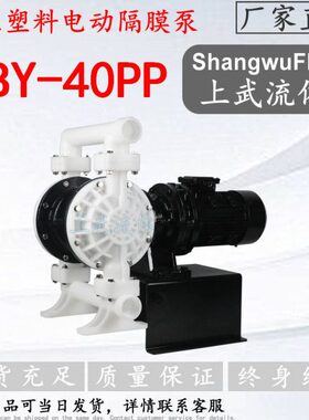 DBY-40S型侧进侧出款工程塑料PP白色泵体电动双隔膜泵