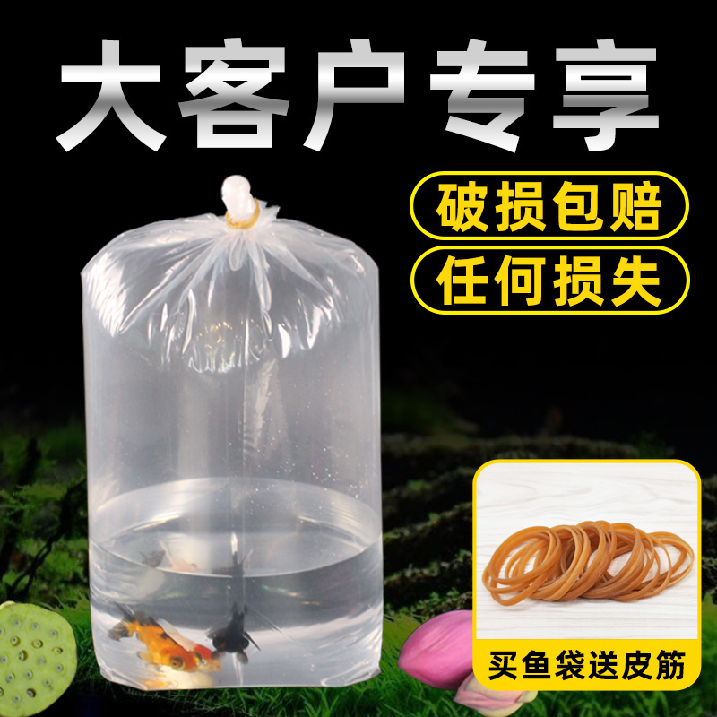 大客户专享四角方底氧气袋加厚水族观赏鱼打包袋子快递运输塑料
