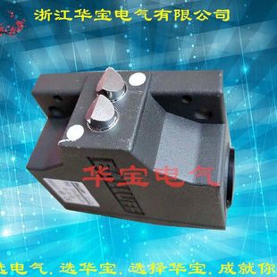 D12 B02 R12 数控组合开关BNS 819