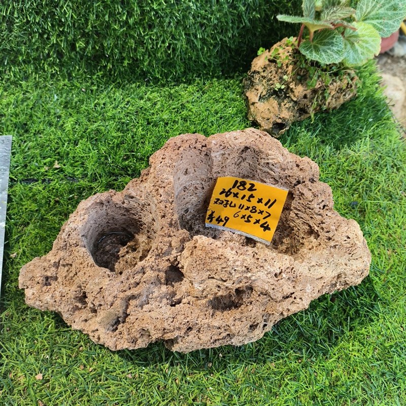 吸水石上水石小盆景石头自吸水花盆菖蒲石斛蕨R类文竹小植物创意