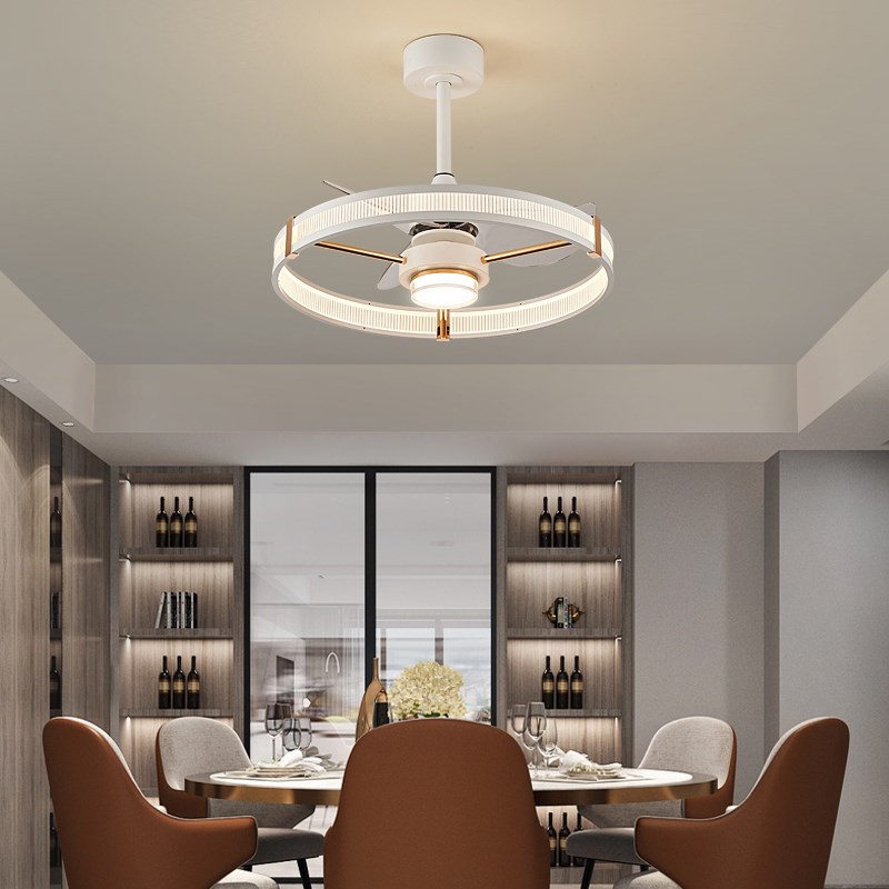 餐厅风扇灯吊扇灯简约现代家用智能卧室房间小客厅电风扇吊灯一体