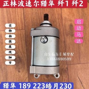 波速尔歼1歼2猎隼170 189 M1 30磊230正林皓月223启动机 马达电机