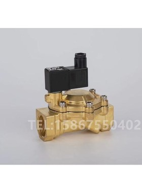 电磁SCE238D001 SCE238D002两通黄铜水C131600/131618