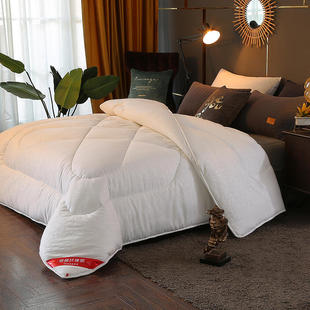 酒店白色保暖被芯被子四季被春秋被子学生宿舍秋冬季棉被褥空调被