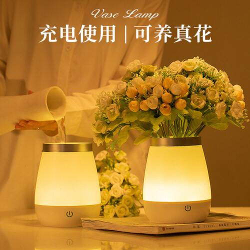 创意花瓶灯氛围小夜灯卧室床头灯家居摆件定制温馨浪漫生日礼物灯