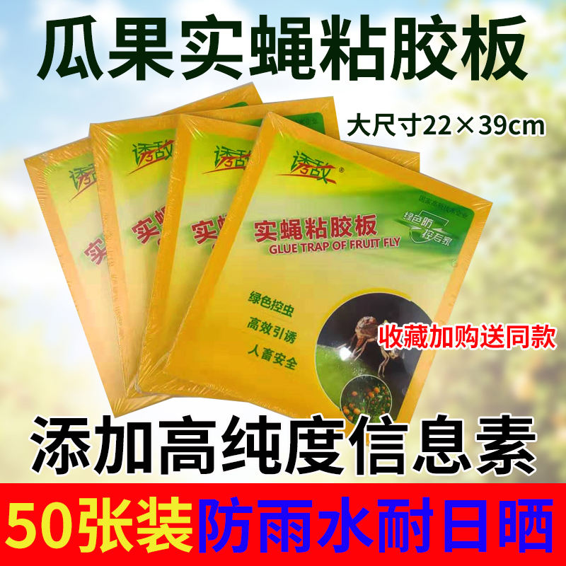 双面粘虫板针蜂粘胶板农用黄板果蝇贴引诱剂桔小实蝇果实蝇诱粘