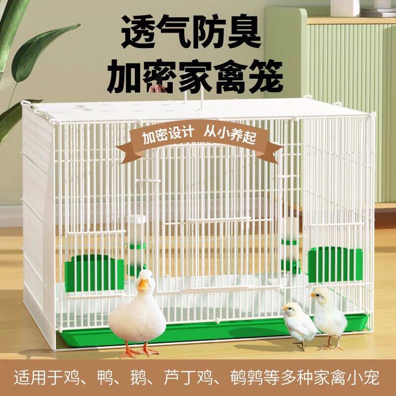 鸭笼子室内专用宠物柯尔鸭养殖笼