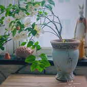 做旧粗陶花盆 欧式 外贸出口高脚杯大花盆 复古陶艺花器 地中海风格