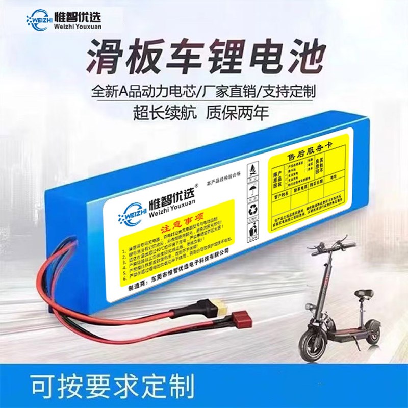 电动车锂电池48V10a12a滑板车36V喜德盛电瓶车60V15a希Z洛普锂电