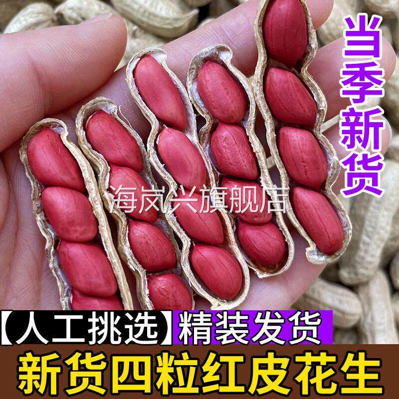 2025年新鲜现挖晒干四粒红带壳生花生红皮花生米原味炒熟农家自产