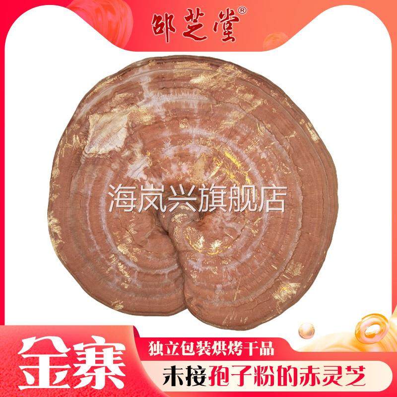 安徽大别山金寨椴木赤灵芝 韩芝大朵瑞草仙芝 未接孢子粉直销