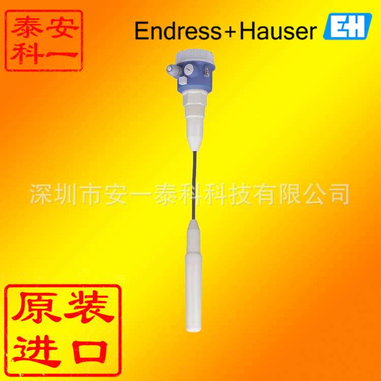 e+h FTC260-AA4D1 德国E+H恩德斯豪斯电容物位计FTC260-AA2D1