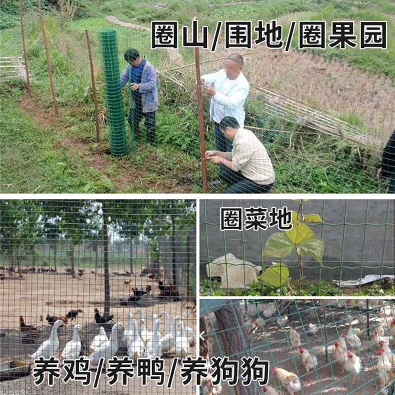 包塑电焊网铁丝网围栏养殖网养鸡网荷兰网钢丝网防护网小孔绿网格