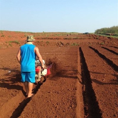 草莓起隆开沟机大葱开沟培土机田园管理机大生姜犁地深沟果园工厂
