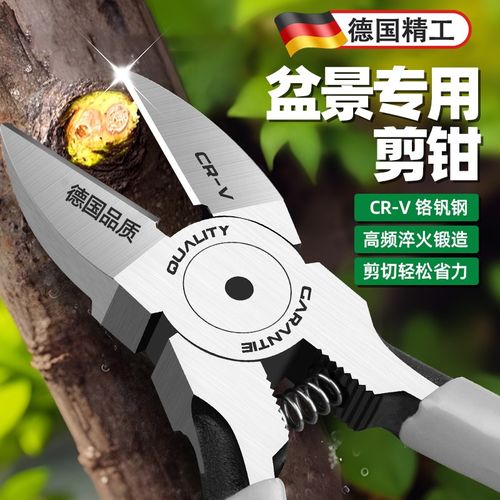 德国盆景专用工具园艺修枝剪水口钳盆栽制作造型叶芽剪家用花艺剪
