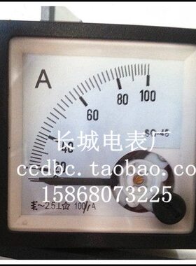 新型【长城电表厂】SQ48 100/1A 交流指针电流表 带防护罩 48*48