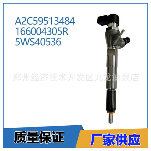 A2C59513484 压电喷油器 166004305R 5WS40536 适用于雷诺达契亚