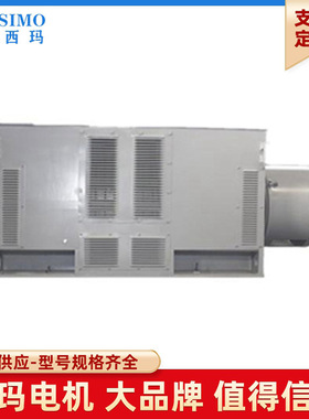 6KV高压电机 SIMO西玛YRKS系列 YRKS800-10 2240KW 双轴伸电机