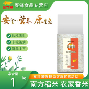 金元宝农家香米1kg 南方大米专用小包装袋家用籼米