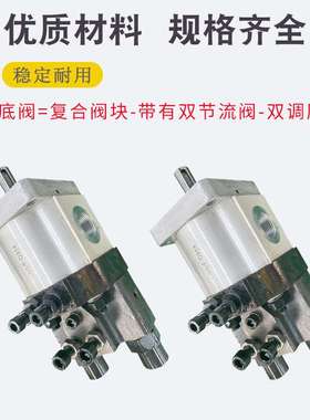 双向D325齿轮泵CBS-D304/D306复合泵D308/D310油泵D312/D316/D320