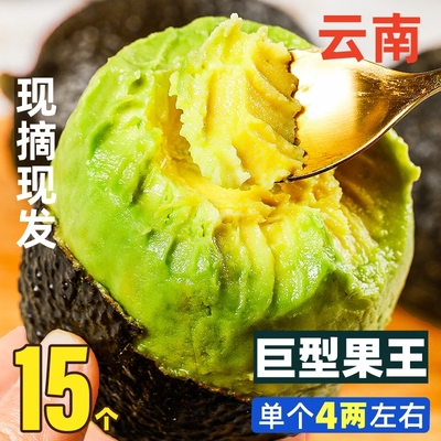 牛油果大果新鲜水果15个应当季鳄梨奶油宝宝辅食时令整箱包邮